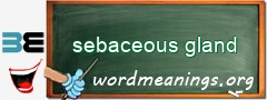 WordMeaning blackboard for sebaceous gland